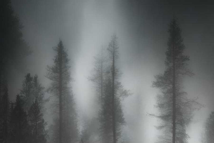 Квест в реальности В темноте от компании КвестКафе Квест в реальности В темноте от компании КвестКафе